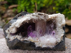 Natural Kinky Goboboseb Brandberg Amethyst Crystal Cave Vug Specimen x 1 From Brandberg, Namibia