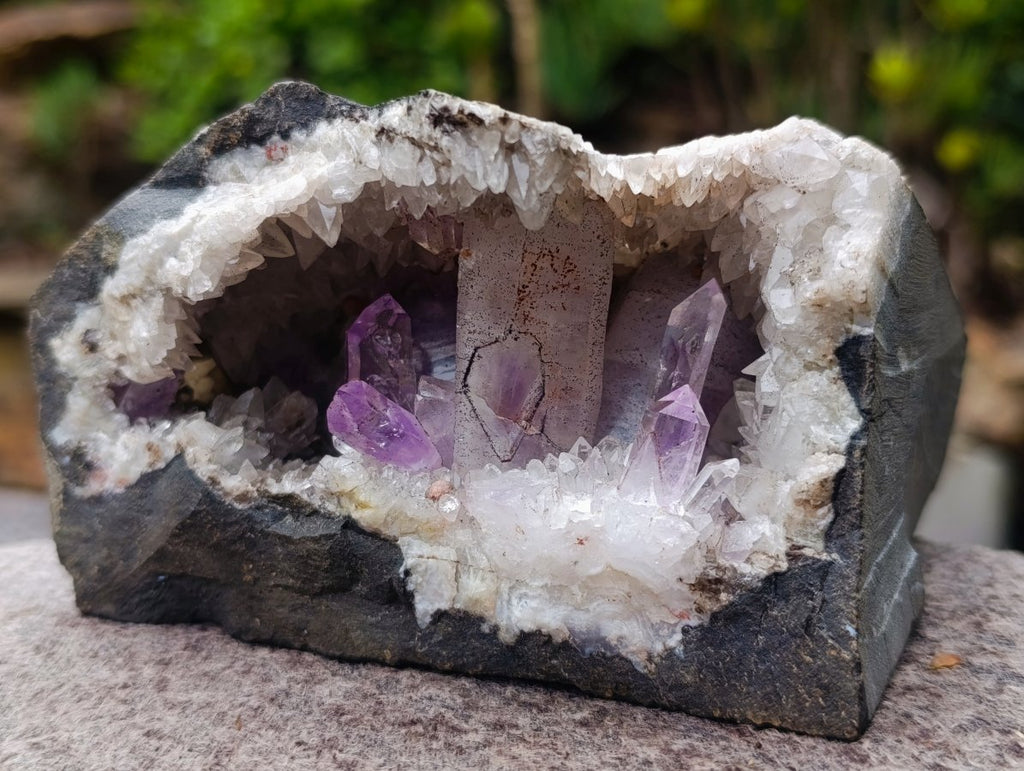 Natural Kinky Goboboseb Brandberg Amethyst Crystal Cave Vug Specimen x 1 From Brandberg, Namibia