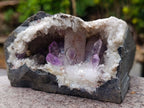 Natural Kinky Goboboseb Brandberg Amethyst Crystal Cave Vug Specimen x 1 From Brandberg, Namibia