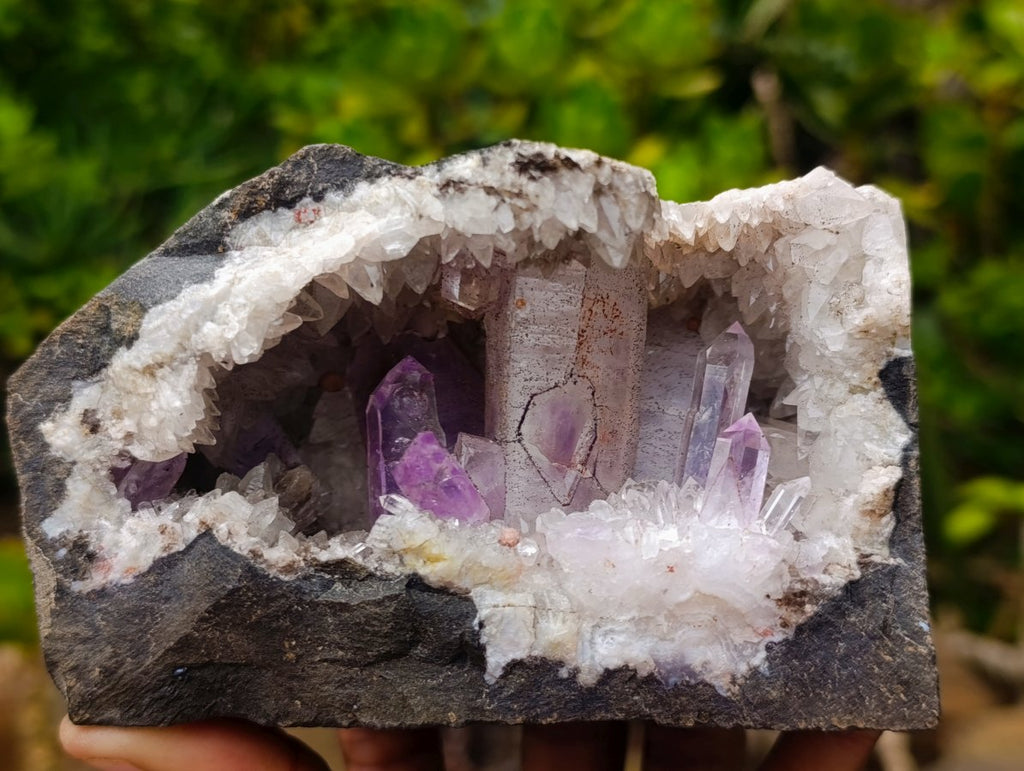 Natural Kinky Goboboseb Brandberg Amethyst Crystal Cave Vug Specimen x 1 From Brandberg, Namibia