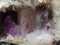 Natural Kinky Goboboseb Brandberg Amethyst Crystal Cave Vug Specimen x 1 From Brandberg, Namibia