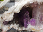 Natural Kinky Goboboseb Brandberg Amethyst Crystal Cave Vug Specimen x 1 From Brandberg, Namibia