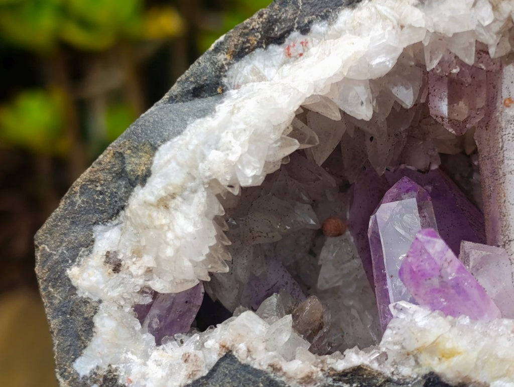 Natural Kinky Goboboseb Brandberg Amethyst Crystal Cave Vug Specimen x 1 From Brandberg, Namibia