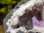 Natural Kinky Goboboseb Brandberg Amethyst Crystal Cave Vug Specimen x 1 From Brandberg, Namibia