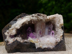 Natural Kinky Goboboseb Brandberg Amethyst Crystal Cave Vug Specimen x 1 From Brandberg, Namibia