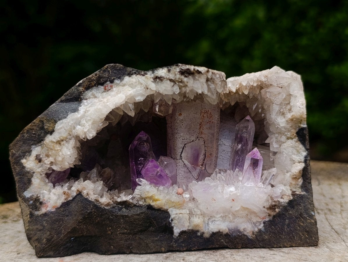 Natural Kinky Goboboseb Brandberg Amethyst Crystal Cave Vug Specimen x 1 From Brandberg, Namibia