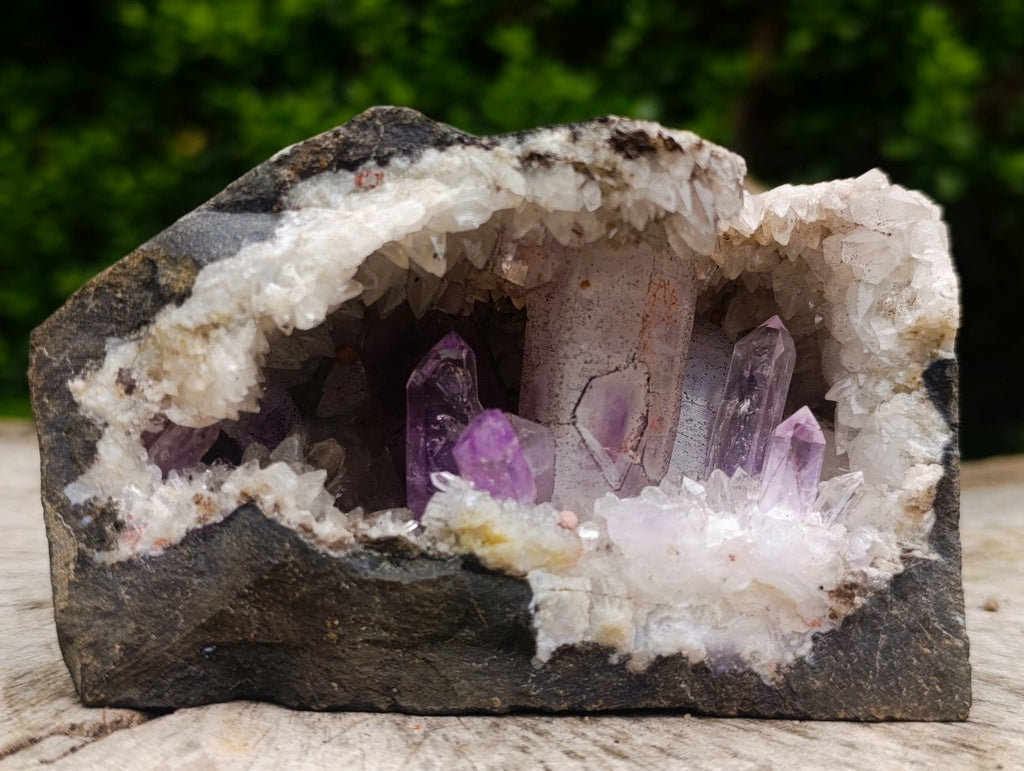 Natural Kinky Goboboseb Brandberg Amethyst Crystal Cave Vug Specimen x 1 From Brandberg, Namibia