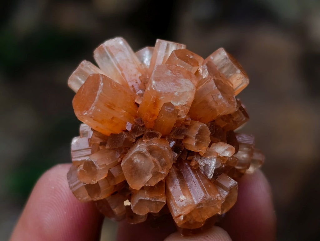 Polished and Natural Mixed Set of 20 African Minerals and Crystals in a Wooden Display Box x 1 From Southern Africa