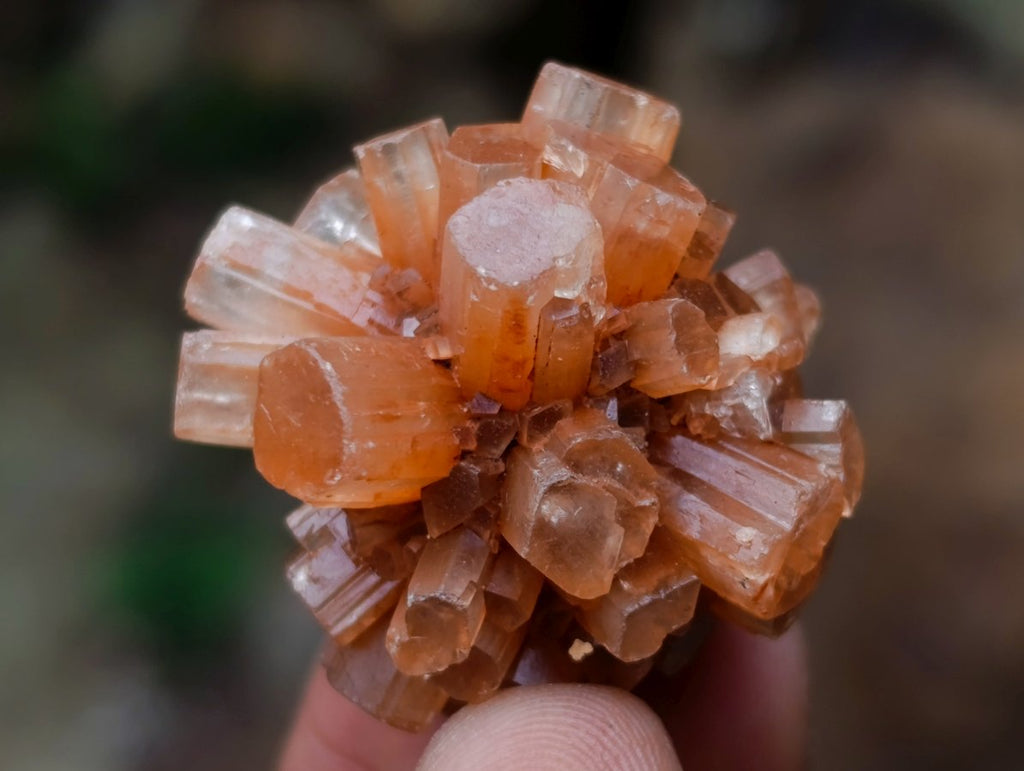 Polished and Natural Mixed Set of 20 African Minerals and Crystals in a Wooden Display Box x 1 From Southern Africa