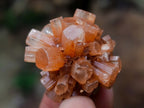 Polished and Natural Mixed Set of 20 African Minerals and Crystals in a Wooden Display Box x 1 From Southern Africa