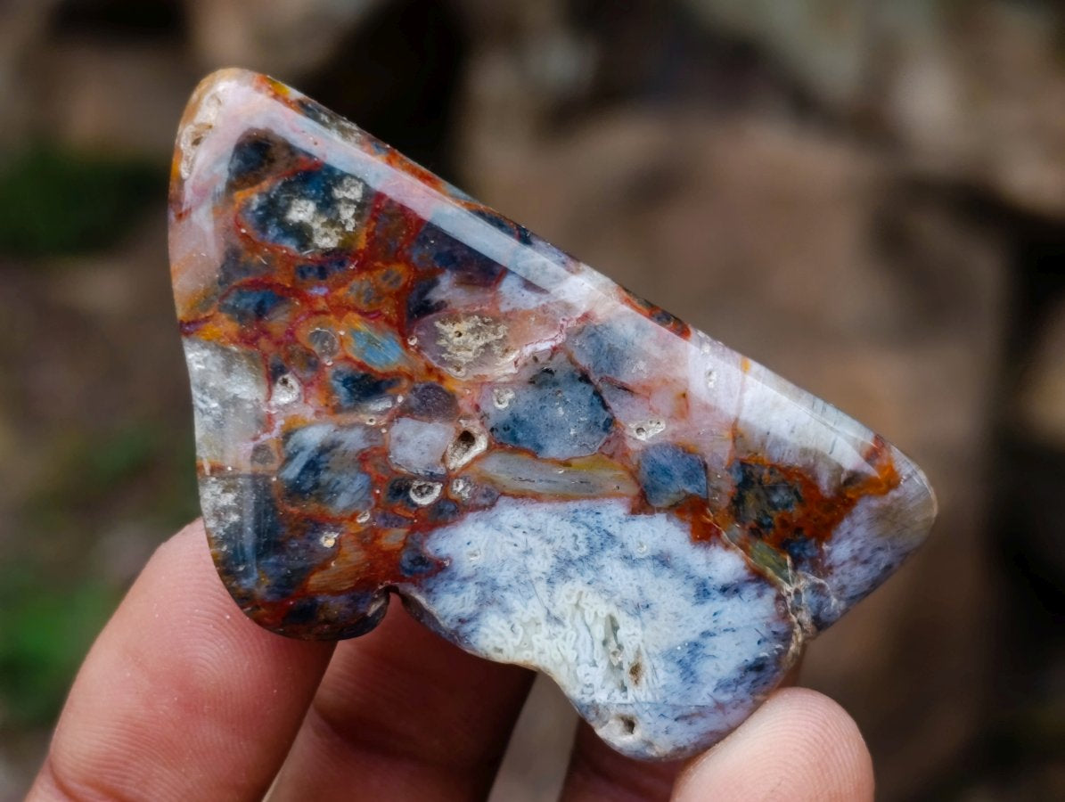 Polished and Natural Mixed Set of 20 African Minerals and Crystals in a Wooden Display Box x 1 From Southern Africa
