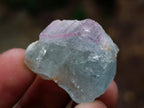 Polished and Natural Mixed Set of 20 African Minerals and Crystals in a Wooden Display Box x 1 From Southern Africa