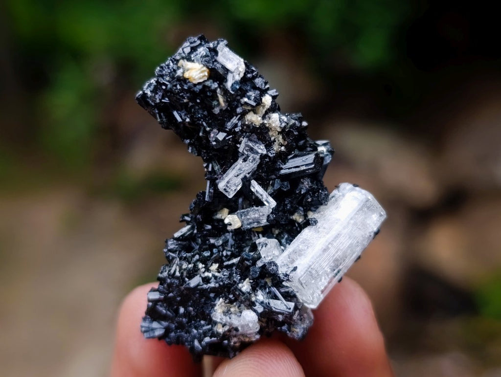 Polished and Natural Mixed Set of 20 African Minerals and Crystals in a Wooden Display Box x 1 From Southern Africa