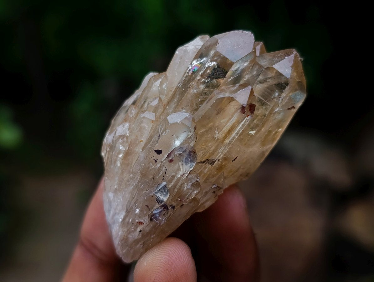 Polished and Natural Mixed Set of 20 African Minerals and Crystals in a Wooden Display Box x 1 From Southern Africa