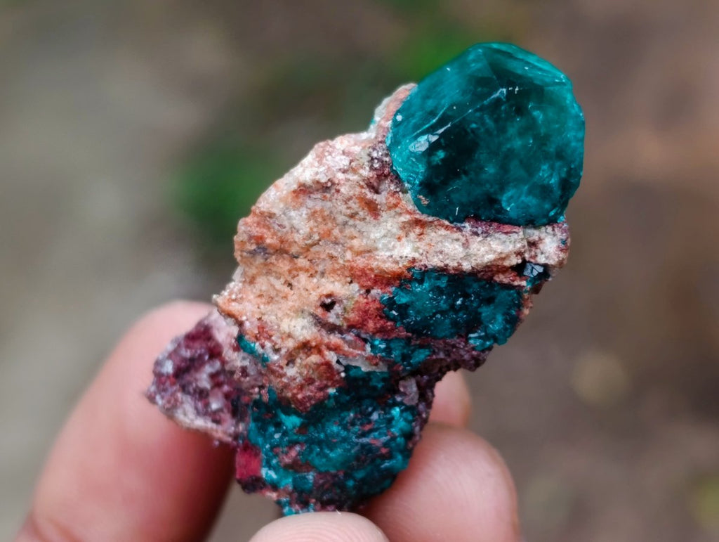 Polished and Natural Mixed Set of 20 African Minerals and Crystals in a Wooden Display Box x 1 From Southern Africa