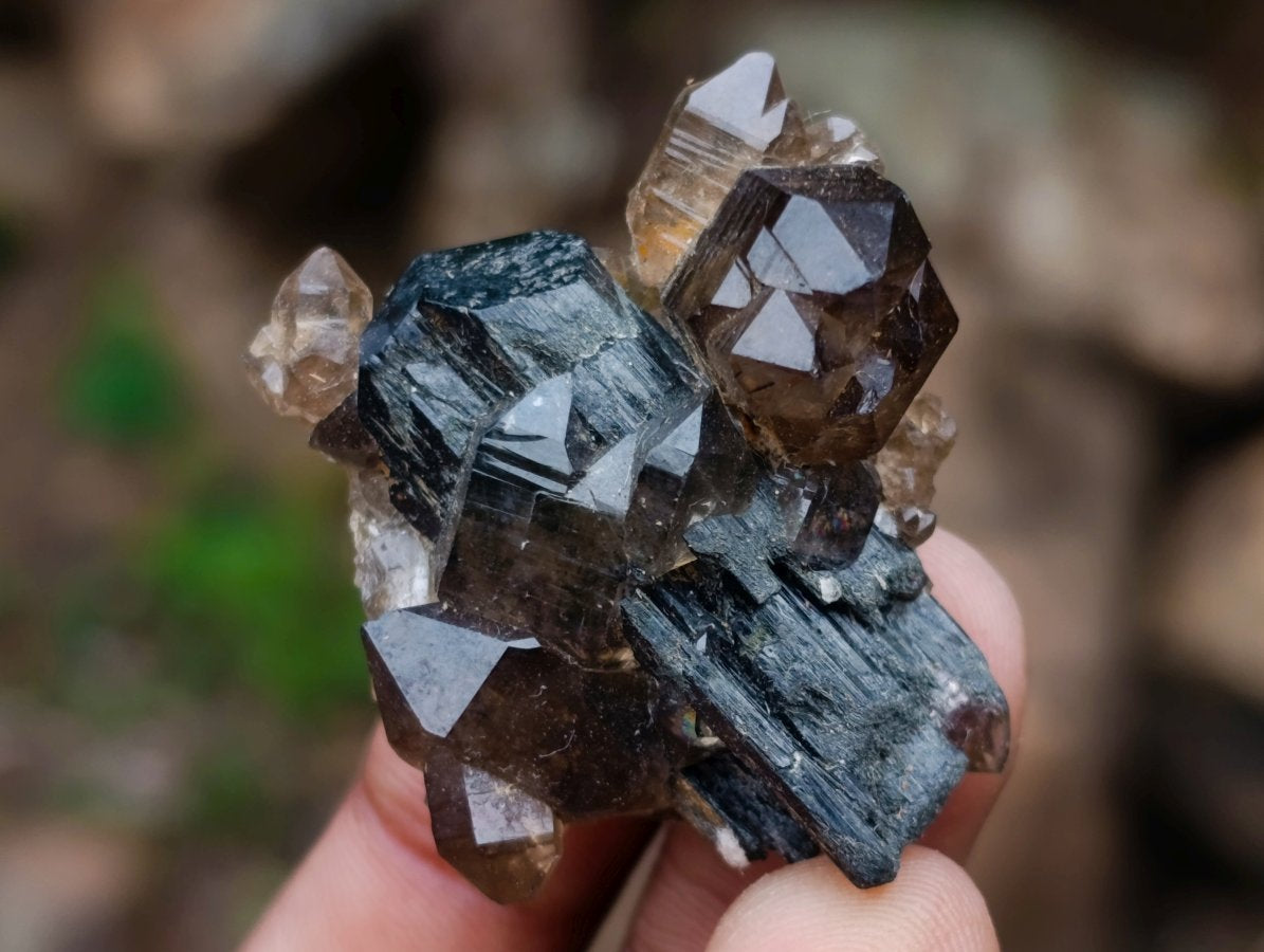 Polished and Natural Mixed Set of 20 African Minerals and Crystals in a Wooden Display Box x 1 From Southern Africa