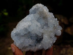 Natural Blue Celestite Specimen x 1 From Sakoany, Madagascar