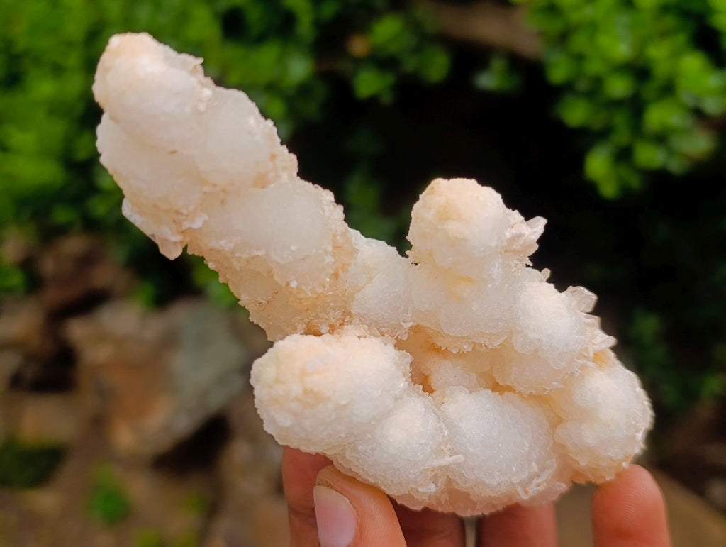 Natural Triple Chalcedony Stalactite Formation with Stilbite Crystals and Apophyllite x 1 From Maharashtra, India