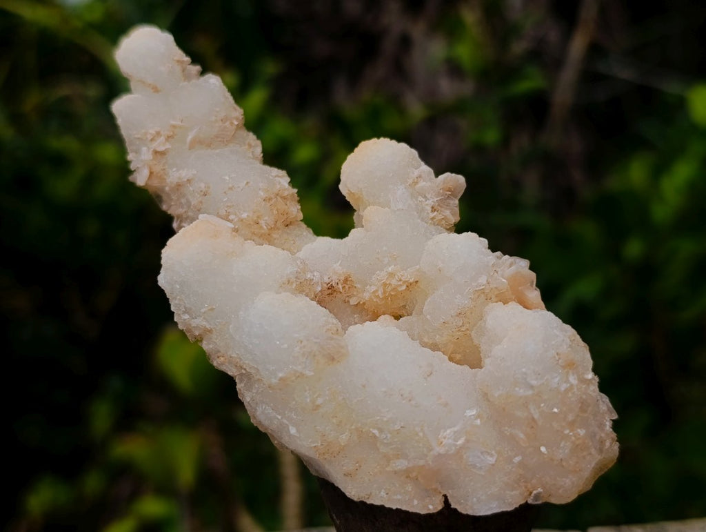 Natural Triple Chalcedony Stalactite Formation with Stilbite Crystals and Apophyllite x 1 From Maharashtra, India