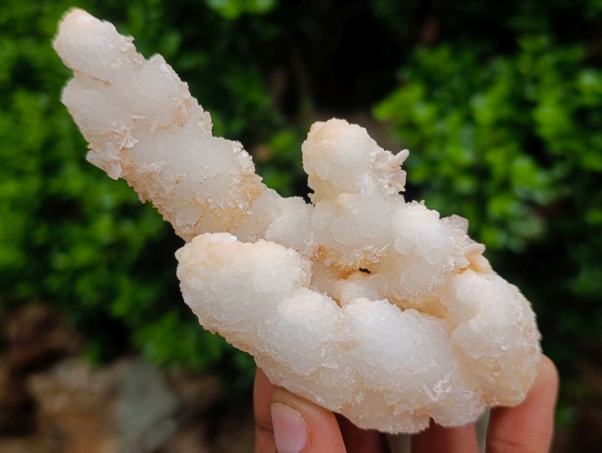 Natural Triple Chalcedony Stalactite Formation with Stilbite Crystals and Apophyllite x 1 From Maharashtra, India