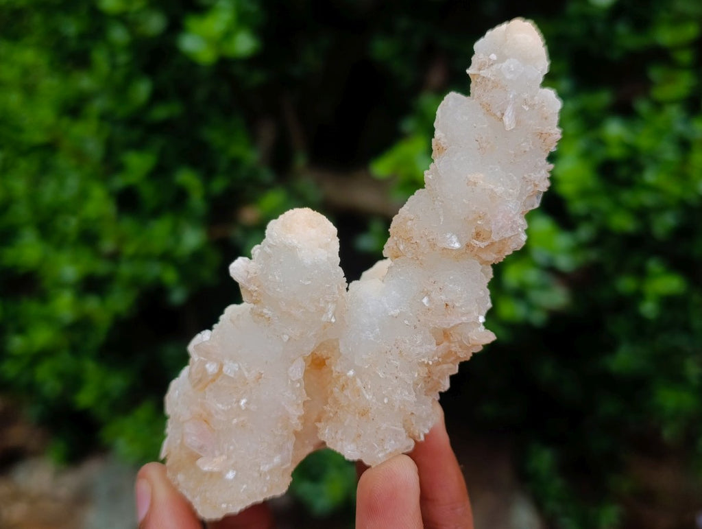 Natural Triple Chalcedony Stalactite Formation with Stilbite Crystals and Apophyllite x 1 From Maharashtra, India