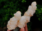 Natural Triple Chalcedony Stalactite Formation with Stilbite Crystals and Apophyllite x 1 From Maharashtra, India