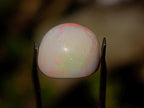 Polished Precious Welo Hydrophane Natural Opal Cabochon x 1 From Welo, Ethiopia
