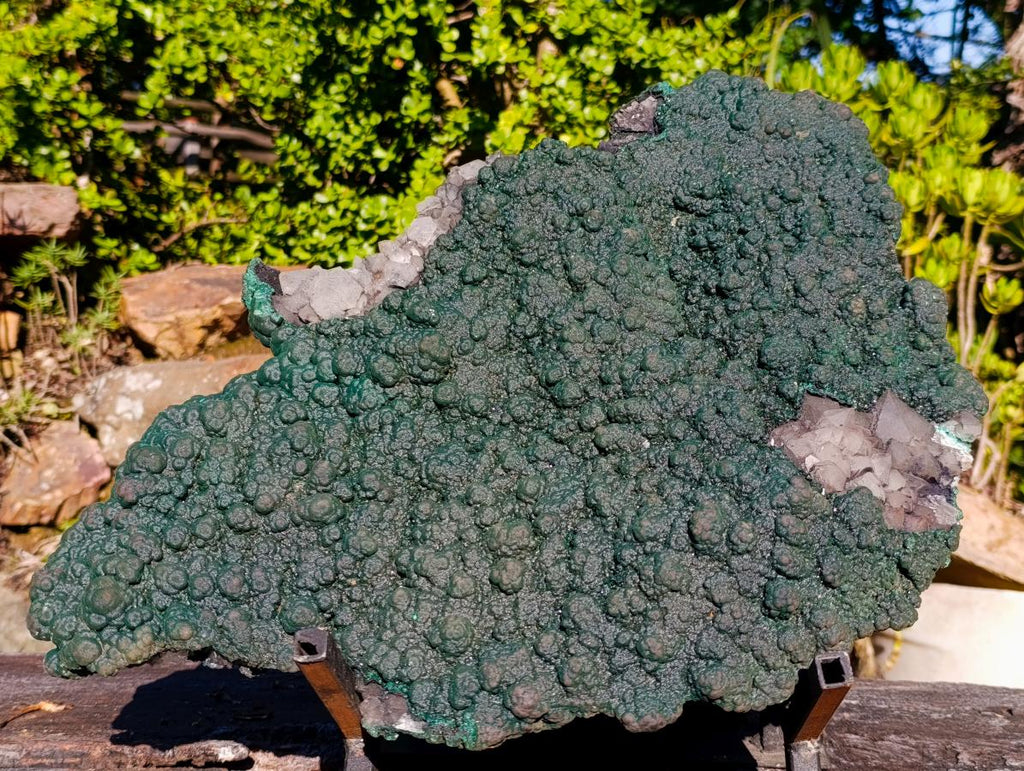 Natural Superb XL Crystalline Botryoidal Malachite Double Sided Floater Specimen with a Metal Display Stand x 1 From Kolwezi, Congo