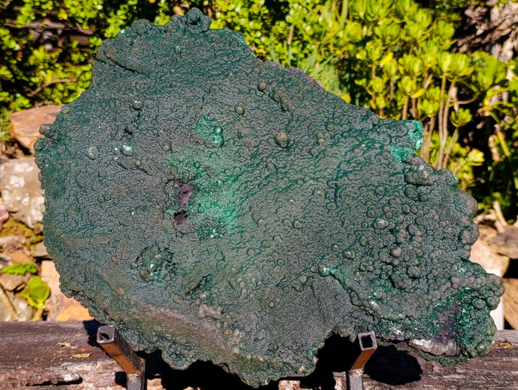Natural Superb XL Crystalline Botryoidal Malachite Double Sided Floater Specimen with a Metal Display Stand x 1 From Kolwezi, Congo