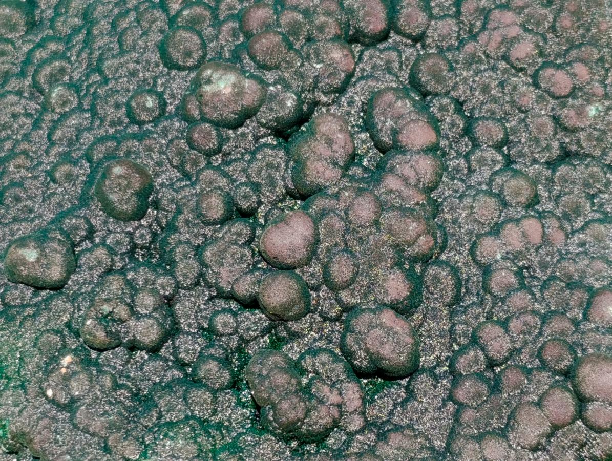 Natural Superb XL Crystalline Botryoidal Malachite Double Sided Floater Specimen with a Metal Display Stand x 1 From Kolwezi, Congo