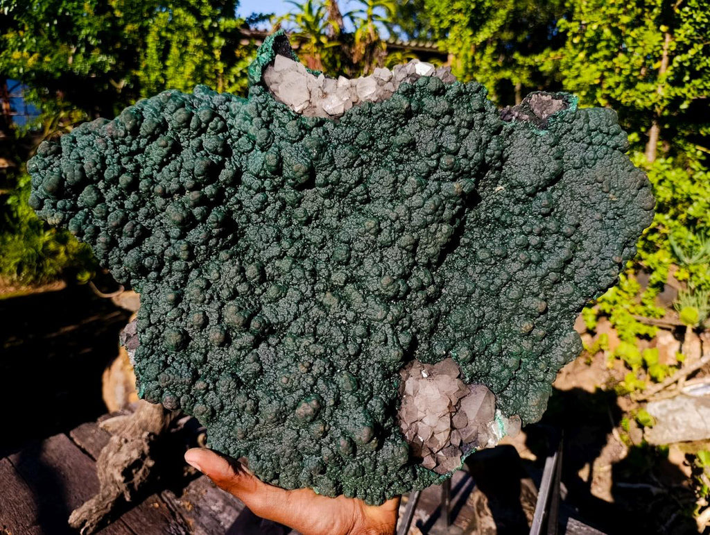 Natural Superb XL Crystalline Botryoidal Malachite Double Sided Floater Specimen with a Metal Display Stand x 1 From Kolwezi, Congo
