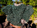 Natural Superb XL Crystalline Botryoidal Malachite Double Sided Floater Specimen with a Metal Display Stand x 1 From Kolwezi, Congo