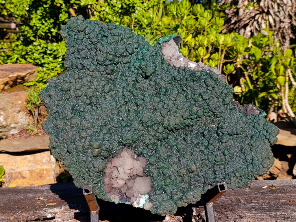 Natural Superb XL Crystalline Botryoidal Malachite Double Sided Floater Specimen with a Metal Display Stand x 1 From Kolwezi, Congo