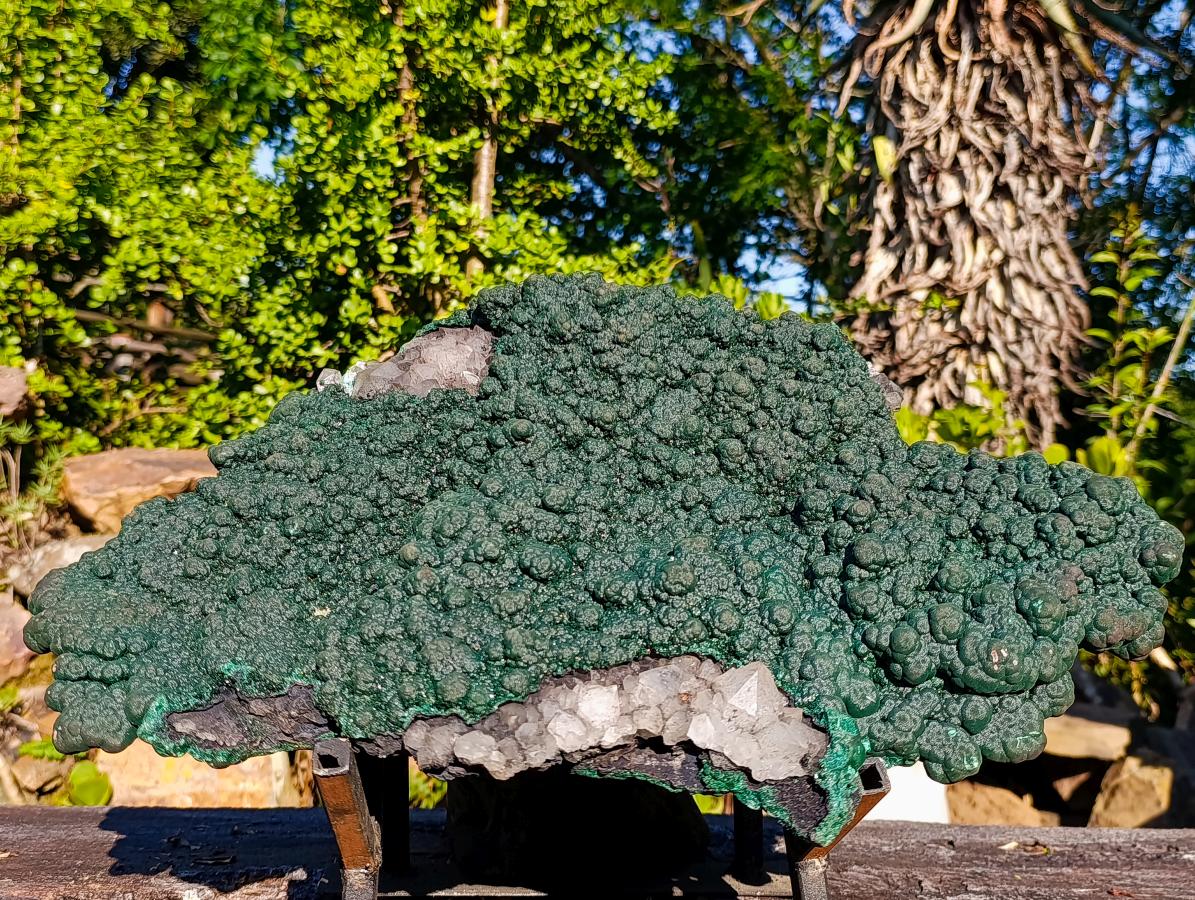 Natural Superb XL Crystalline Botryoidal Malachite Double Sided Floater Specimen with a Metal Display Stand x 1 From Kolwezi, Congo