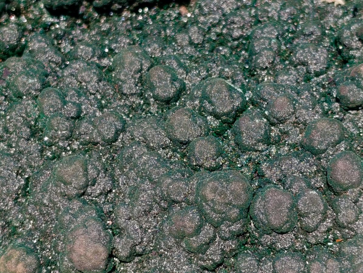 Natural Superb XL Crystalline Botryoidal Malachite Double Sided Floater Specimen with a Metal Display Stand x 1 From Kolwezi, Congo