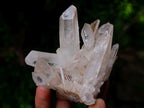 Polished and Natural Mixed Set of 8 African Minerals and Crystals in a Wooden Display Box x 1 From Southern Africa