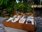 Polished and Natural Mixed Set of 8 African Minerals and Crystals in a Wooden Display Box x 1 From Southern Africa