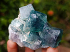 Polished and Natural Mixed Set of 8 African Minerals and Crystals in a Wooden Display Box x 1 From Southern Africa