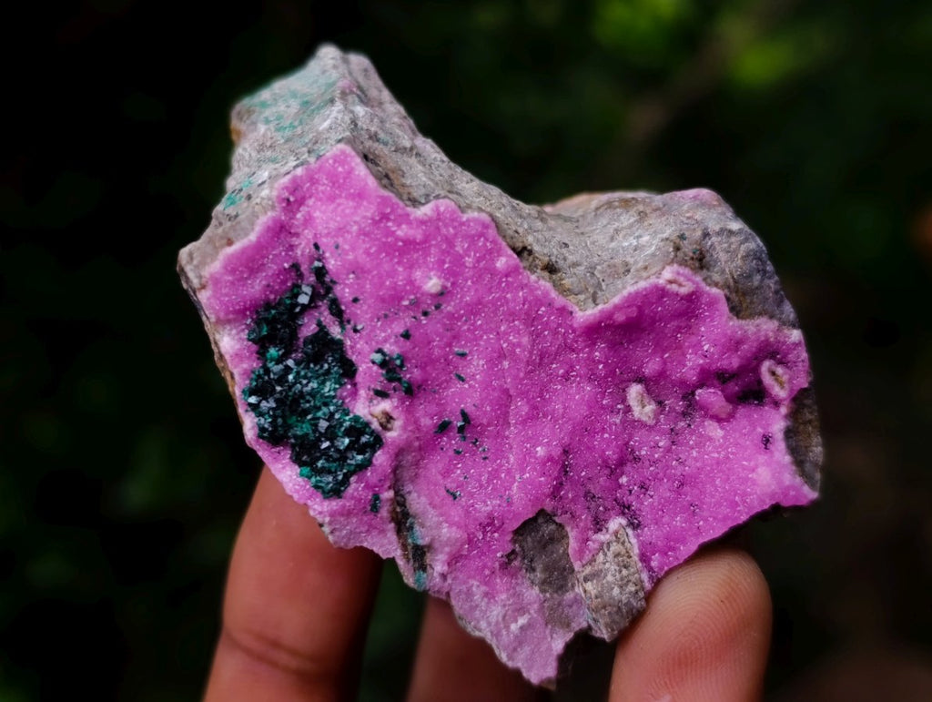 Polished and Natural Mixed Set of 8 African Minerals and Crystals in a Wooden Display Box x 1 From Southern Africa