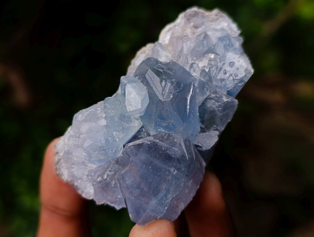 Polished and Natural Mixed Set of 8 African Minerals and Crystals in a Wooden Display Box x 1 From Southern Africa