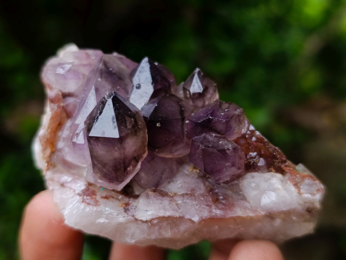 Polished and Natural Mixed Set of 8 African Minerals and Crystals in a Wooden Display Box x 1 From Southern Africa