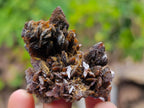 Natural Classic Ultra Rare Berg Aukas Descloizite Specimen x 1 From Berg Aukas, Namibia