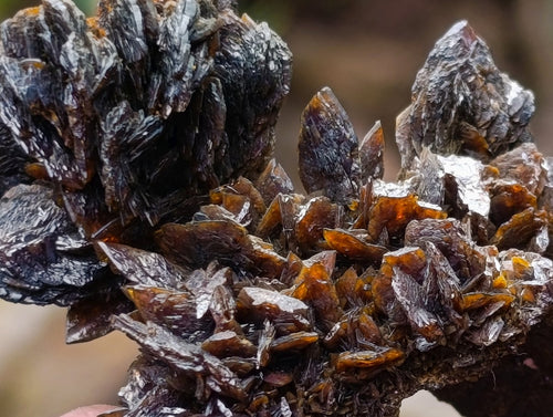 Natural Classic Ultra Rare Berg Aukas Descloizite Specimen x 1 From Berg Aukas, Namibia