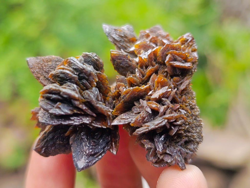 Natural Classic Ultra Rare Berg Aukas Descloizite Specimen x 1 From Berg Aukas, Namibia