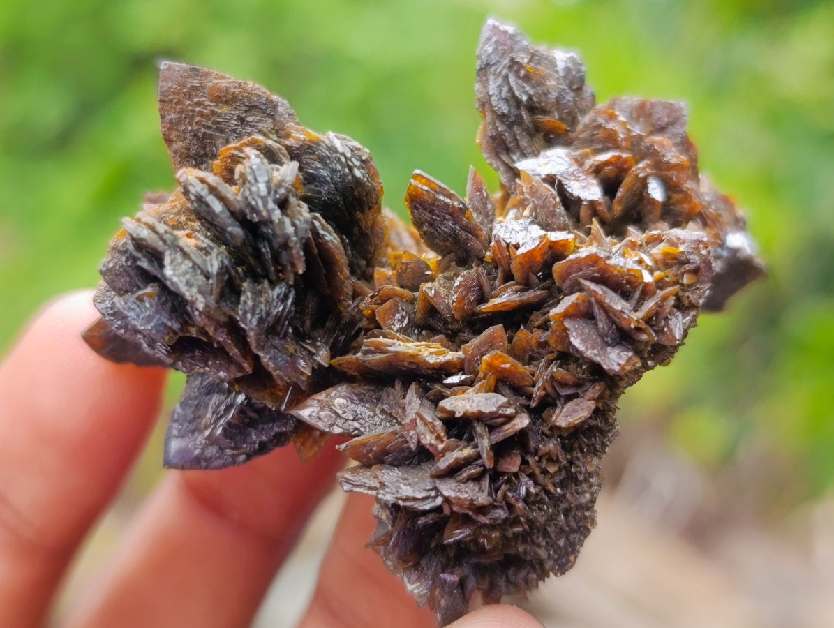 Natural Classic Ultra Rare Berg Aukas Descloizite Specimen x 1 From Berg Aukas, Namibia