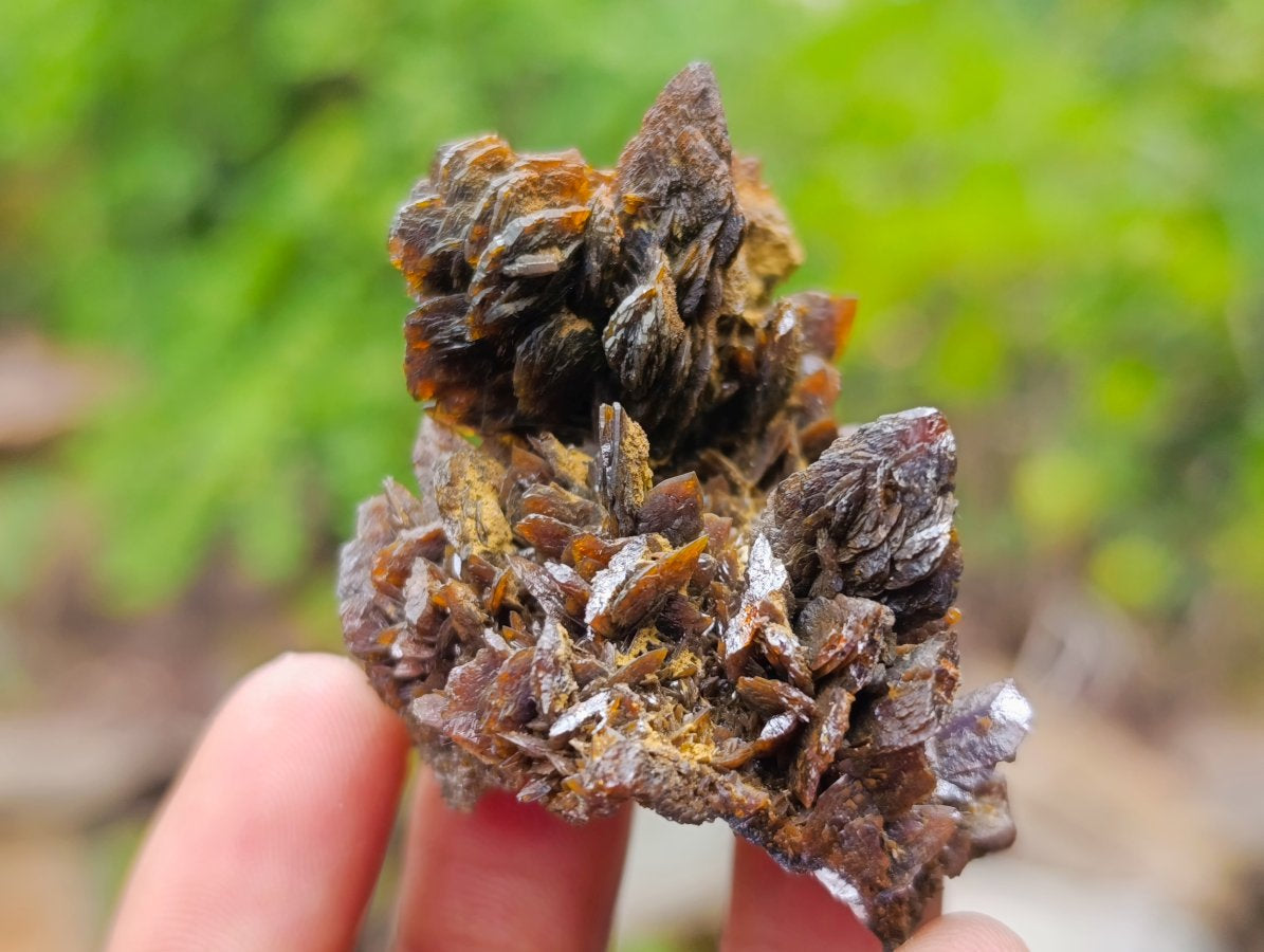 Natural Classic Ultra Rare Berg Aukas Descloizite Specimen x 1 From Berg Aukas, Namibia