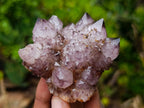 Natural Rare Smokey Amethyst Spirit Quartz Cluster x 1 From Boekenhouthoek, South Africa