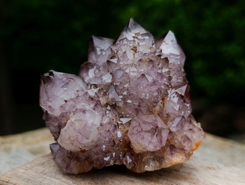 Natural Rare Smokey Amethyst Spirit Quartz Cluster x 1 From Boekenhouthoek, South Africa