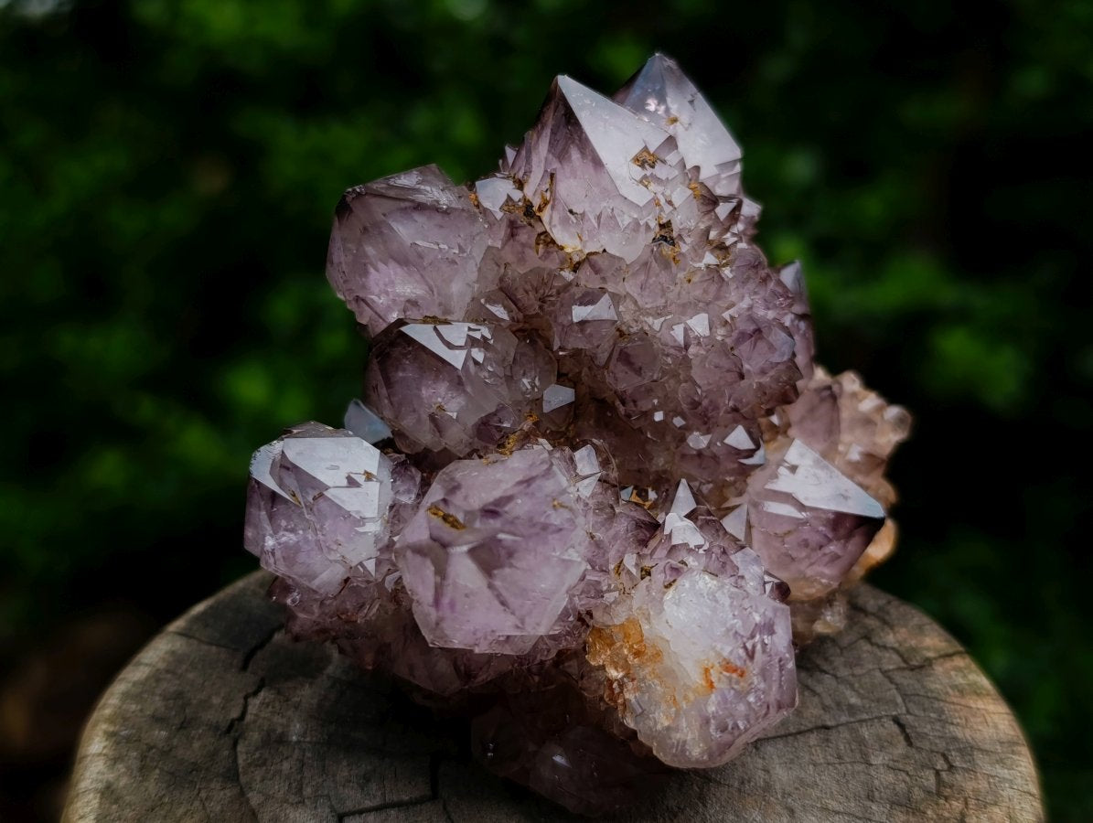 Natural Rare Smokey Amethyst Spirit Quartz Cluster x 1 From Boekenhouthoek, South Africa