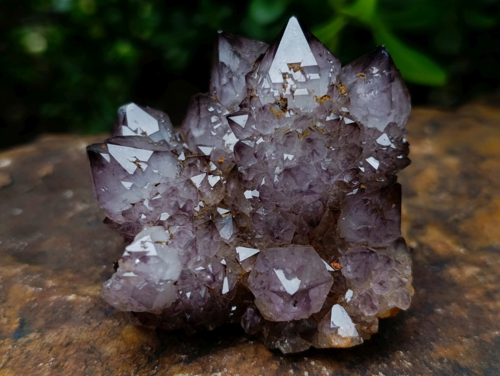 Natural Rare Smokey Amethyst Spirit Quartz Cluster x 1 From Boekenhouthoek, South Africa